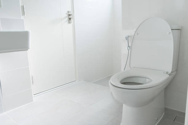 istock water closet in bathroom 841588494