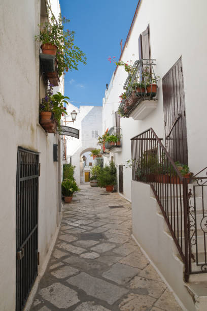 istock Alleyway. Mottola. Puglia. Italy. 841591834
