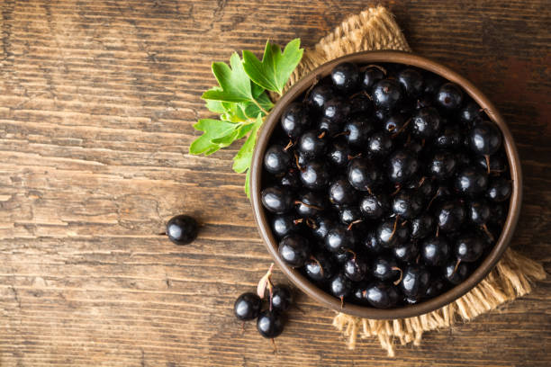 Черная смородина - польза и вред для здоровья Черная смородина: польза и вред для здоровья