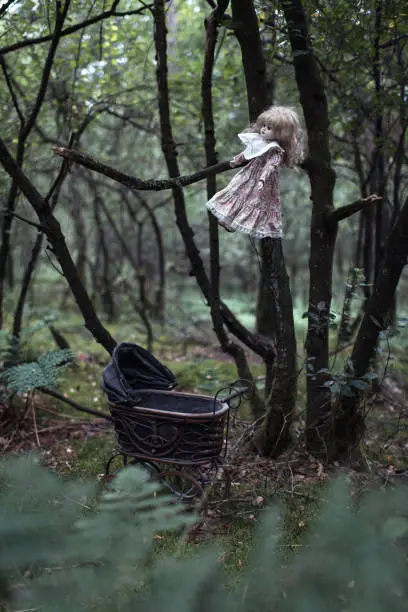 Scary doll hanging in tree with pram on forest ground.