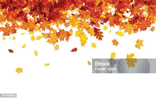 Ilustración de Fondo De Otoño Con Hojas De Naranja y más Vectores Libres de Derechos de Otoño - Otoño, Caer, Hoja