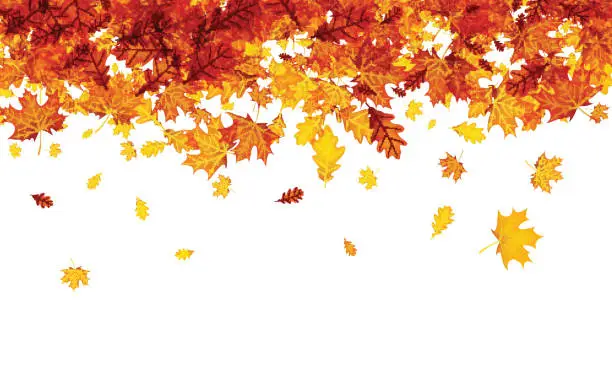 Vector illustration of Autumn background with orange leaves.