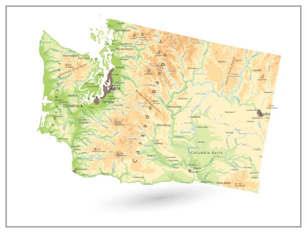 physische karte von washington state isoliert auf weiss - seattle map washington state harbor stock-grafiken, -clipart, -cartoons und -symbole