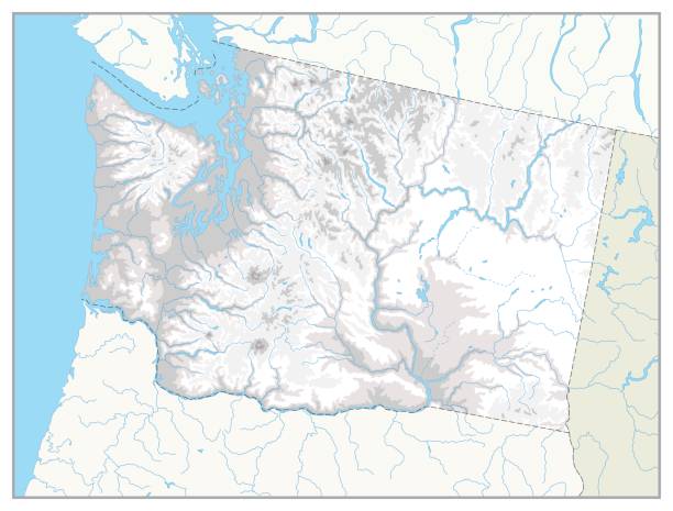 워싱턴 실제 상태 지도입니다. 백색 및 회색입니다. 아무 텍스트입니다. - seattle map washington state harbor stock illustrations