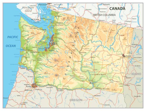 illustrazioni stock, clip art, cartoni animati e icone di tendenza di mappa fisica dello stato di washington - seattle map washington state harbor