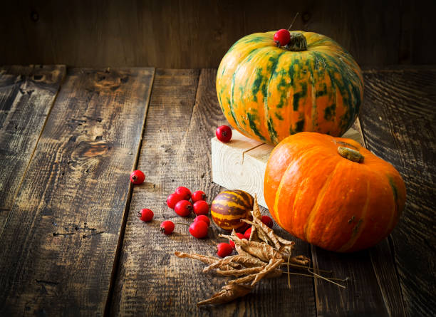 istock Pumpkins, melon and red berries on a wooden background 841617948