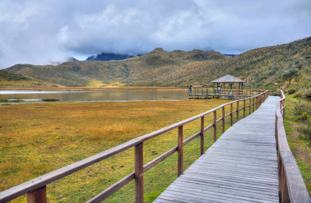 istock Walkway to the lake 841618232