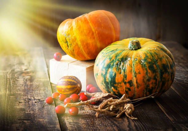 istock Pumpkins, melon and red berries on a wooden background 841621794