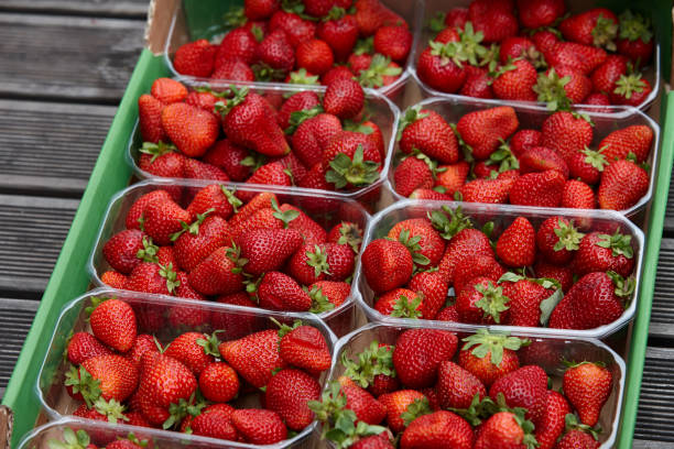 istock Fresh strawberries containers for sale 841628590