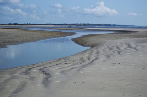 istock St. Simon's Island, GA Gould's Inlet Low Tide 841629638