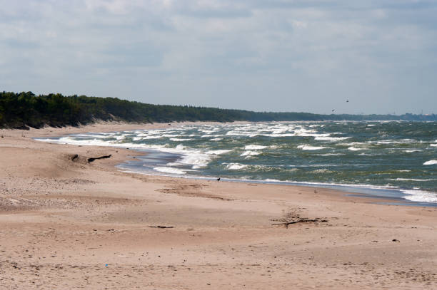 istock On the Western shore of the Curonian spit 841629656