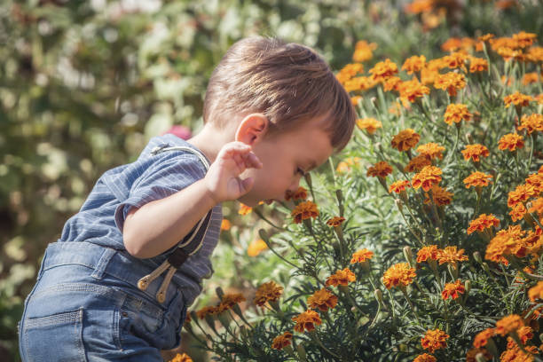 istock Happy little baby boy front or back yard playing with flowers outdoors on grass 841632580