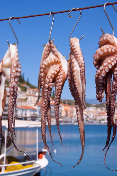 istock Octopus to Dry in Gythio - Greece 841632854