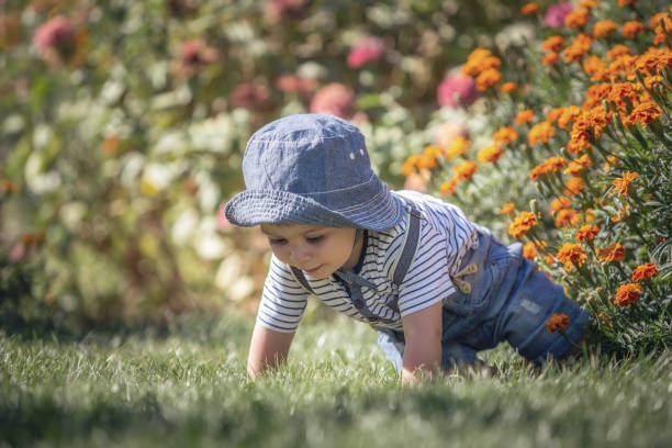 Happy little baby  boy front or back yard playing with flowers outdoors on grass