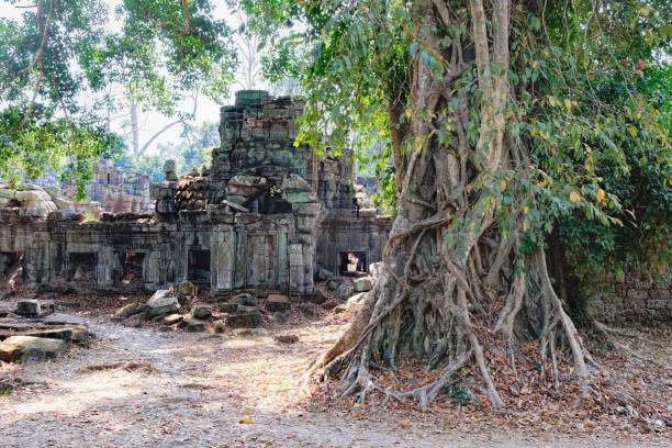 istock Preah Khan Temple in Siem Reap, Cambodia 841635418