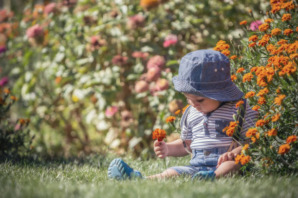 istock Happy little baby boy front or back yard playing with flowers outdoors on grass 841642354