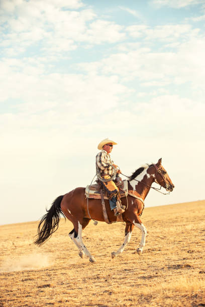 istock Cowboy Riding Paint Horse Across Summer Range 841643686