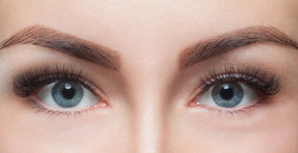 Eyelash removal procedure close up. Beautiful Woman with long lashes in a beauty salon Eyelash removal procedure close up. Beautiful Woman with long lashes in a beauty salon. Look at the camera. mink fur stock pictures, royalty-free photos & images