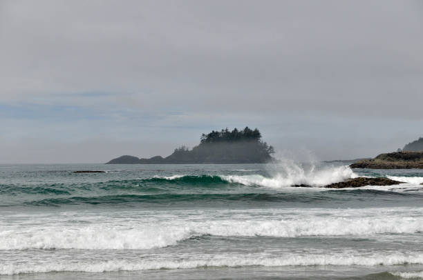 istock West Coast Pacific Rim National Park 841652662