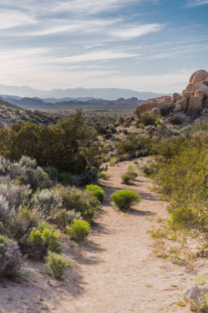 istock Dirt Trail Winds Through Desert Landscape 841654048