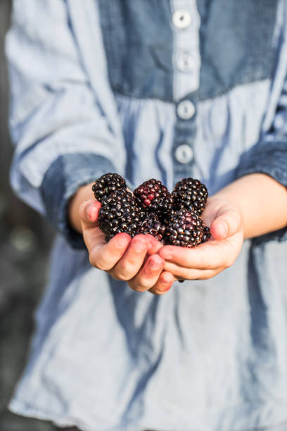 istock girl holding in hand fresh blackberries 841663434