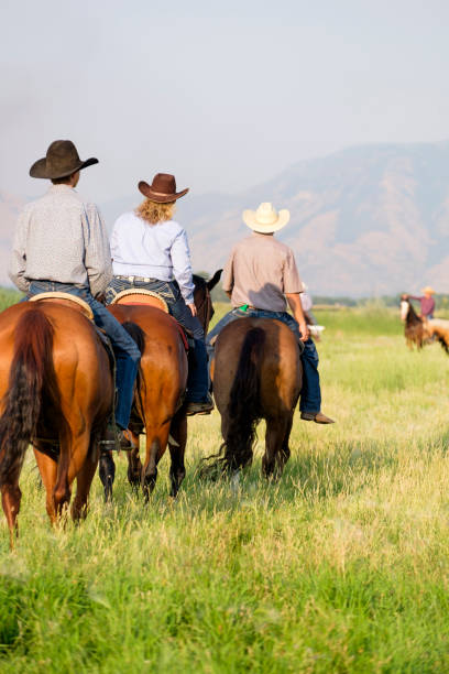 istock Three people on horseback walking away from camera in a trail formation. 841663562