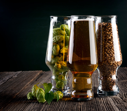 Light beer and ingredients on wooden table