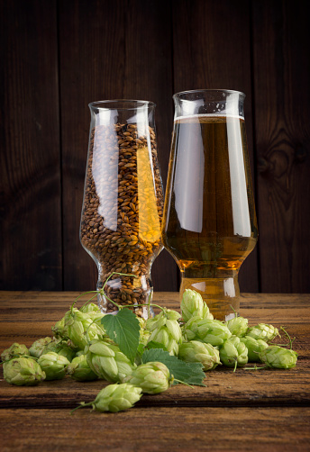 Mug fresh beer with Green hops and wheat on wooden background