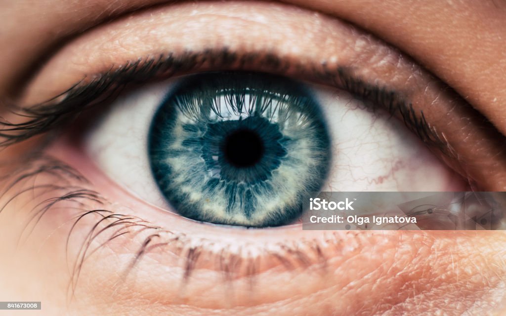 Bleu humain oeil - Photo de Oeil libre de droits