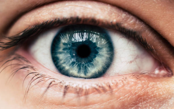 голубой глаз человека - human eye men close up macro стоковые фото и изображения