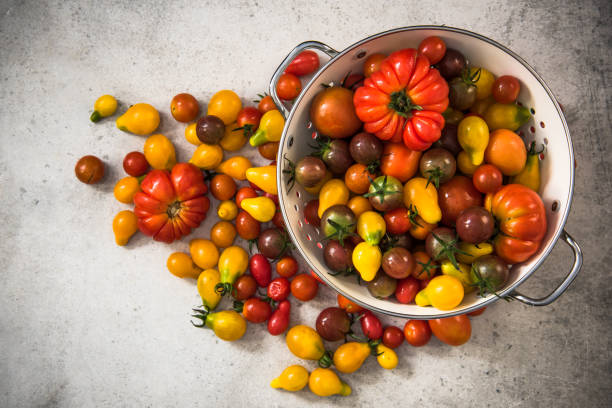istock Market fresh colorful tomatoes 841673116