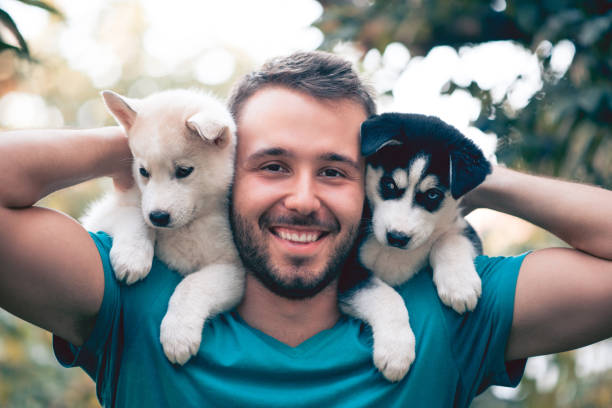 fröhliche junge männer hältst zwei schöne husky baby-klößchen - two dogs stock-fotos und bilder