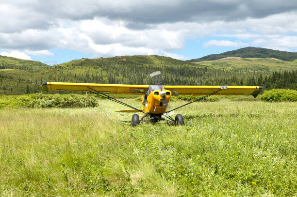 Small aircraft taking off on scenic country meadow A small, yellow aircraft taking off on a grass, country meadow runway in a scenic location. bush plane stock pictures, royalty-free photos & images