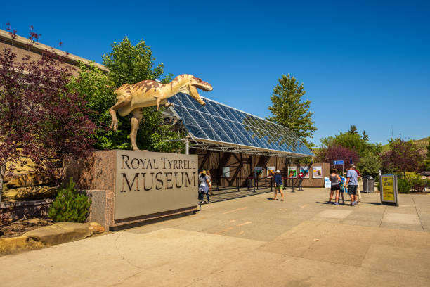 Visitors at the front entrance of the Royal Tyrrell Museum of Palaeontology Drumheller, Alberta: Visitors at the front entrance of the Royal Tyrrell Museum  of Palaeontology in Alberta with a dinosaur sculpture in the foreground drumheller stock pictures, royalty-free photos & images