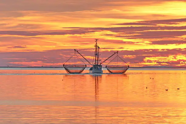 A kotter on the waddensea with his nets out towards the undergoing sun