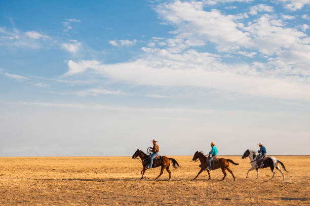 istock utah cowboys in distance riding with stetson, shirt and using  lasso 841709048