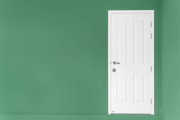 istock Closed white door on green wall at home. 841709106