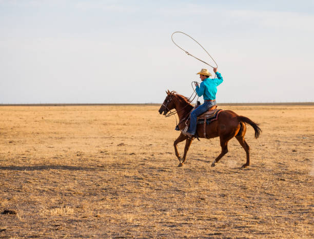 istock utah cowboy riding with stetson, blue shirt and using  lasso 841713042