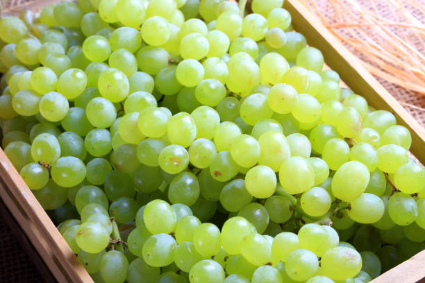 Green seedless grapes in market at Istanbul turkey