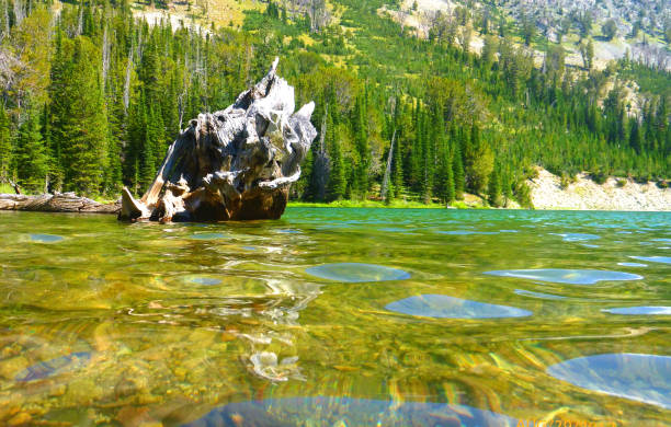 água covinhas, idaho. - idaho sun valley idaho lake ketchum - fotografias e filmes do acervo