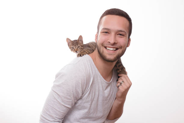 Young man having fun with a kitten stock photo