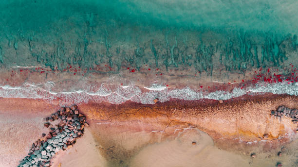 istock Aerial View Haulover Beach Park 841727222