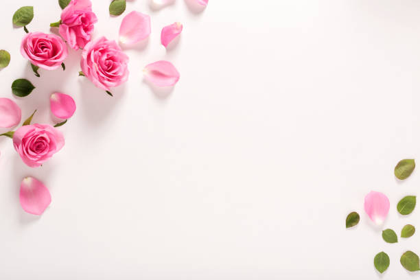 istock Roses and leaves top view 841742028