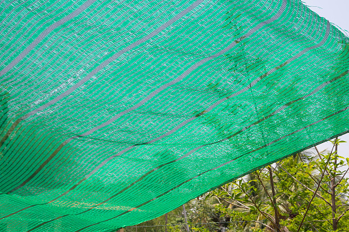 Green Shading Net protect sun light