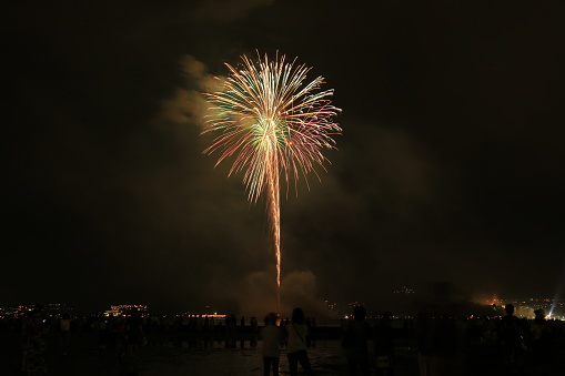 Happy New Year Fireworks on Halifax Nova Scotia. Canada. Toned Image.