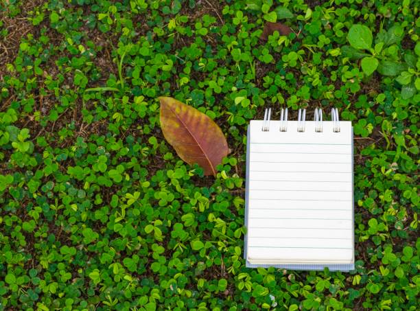 istock Notepad with pencil on wood board and tree blurry background. using wallpaper or background for education, business photo. Take note of the product for book with paper and concept or copy space and note. 841751912