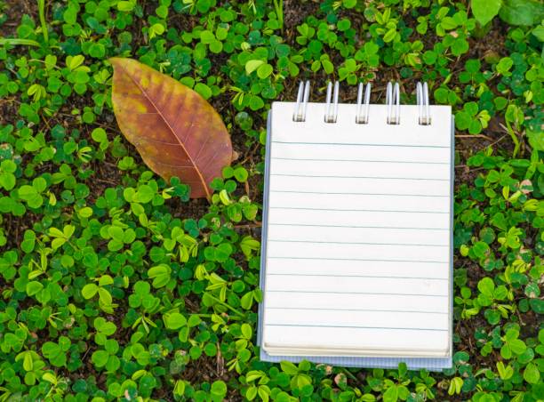 istock Notepad with pencil on wood board and tree blurry background. using wallpaper or background for education, business photo. Take note of the product for book with paper and concept or copy space and note. 841751914
