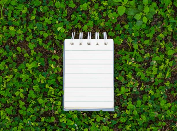 istock Notepad with pencil on wood board and tree blurry background. using wallpaper or background for education, business photo. Take note of the product for book with paper and concept or copy space and note. 841751954