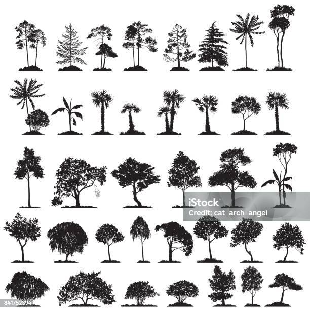 落葉樹のベクトルを設定 - アイコンのベクターアート素材や画像を多数ご用意 - アイコン, カバノキ, ニレ属