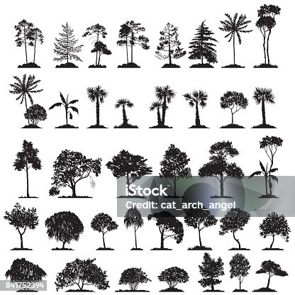istock vector set of deciduous trees 841752394